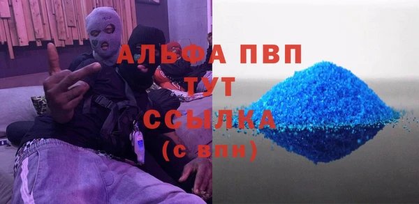 винт Алексин