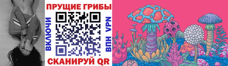 KRAKEN ссылка  Сельцо  Галлюциногенные грибы мухоморы 